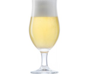 Poh&aacute;r Beer Glass Thur Ritzenhoff 30 cl