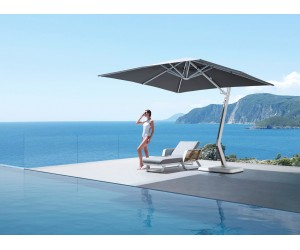 WING slnečn&iacute;k